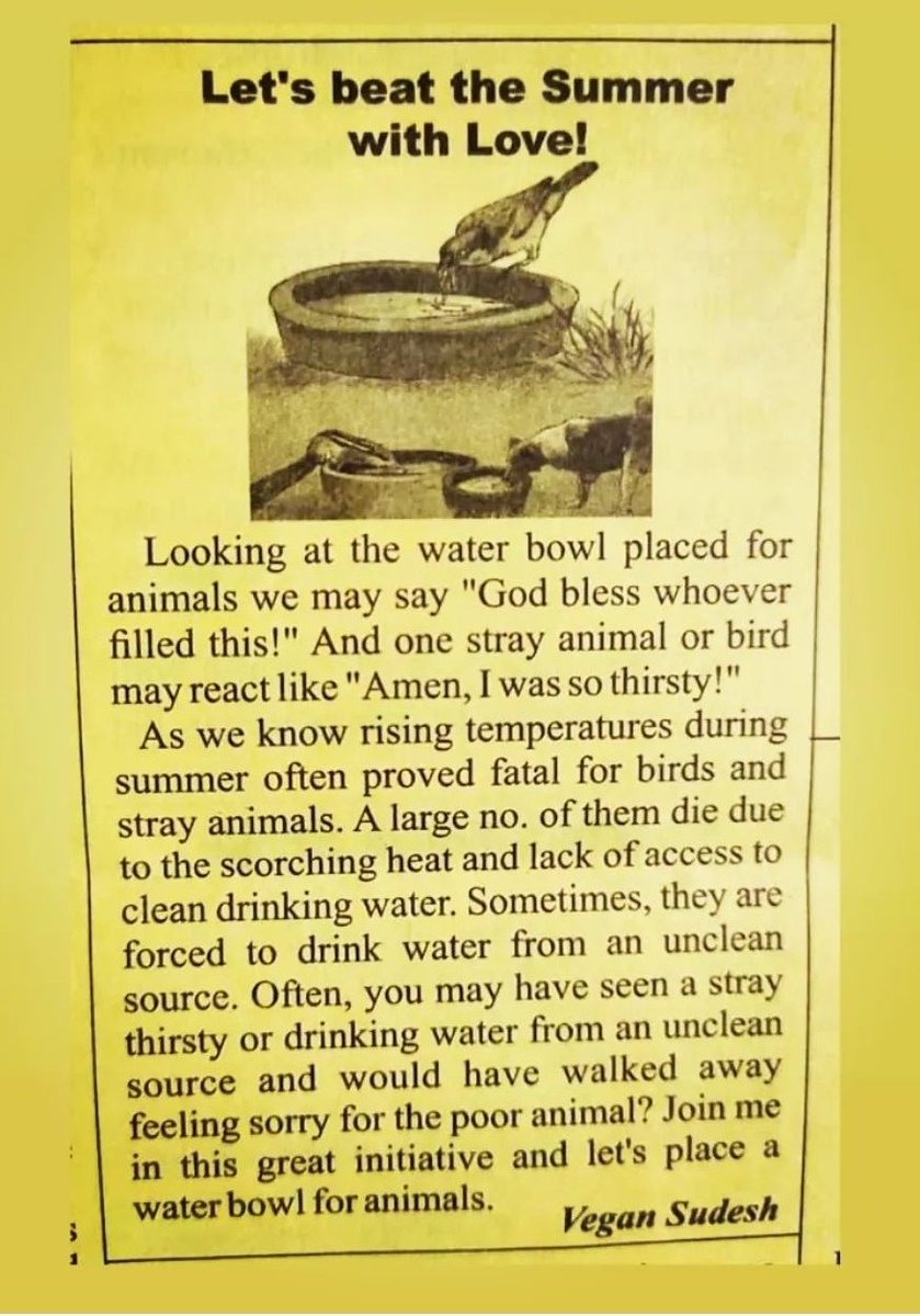 Let's beat the Summer with Love! 

🌱 Sudesh.org
💗 #vegansudesh
#sudeshfoundation

☘️ vegansudesh.com

#veganism #plantbased #StopAnimalCruelty #veganmakeit #StopEatingAnimals #StrayCare #StrayAnimals #icare #veganmumbai