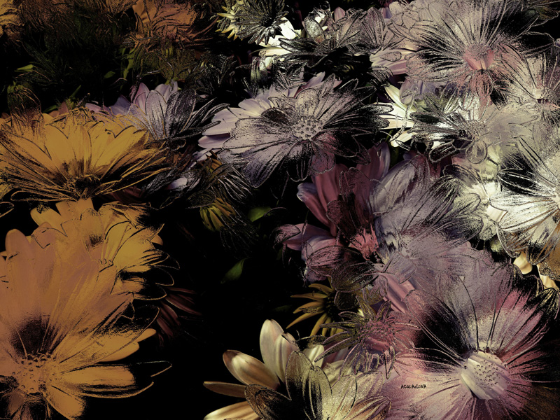 acquaeluna's tweet photo. Save the flowers!
Touching the flowers is like touching the air. It is not a caress. It is a perception that permeates feelings. 
#flowers #photography #vintage #saatchiart #artcollectors #decoration #fineartphotography #curators #art #fineart 

https://t.co/EEWeiqI3A1 https://t.co/h1GJ8i4j4A