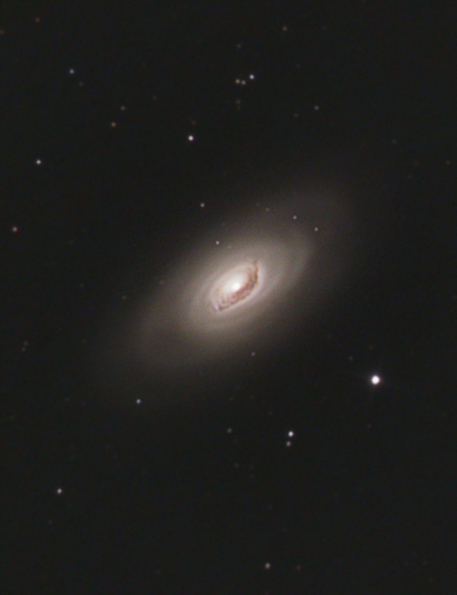 MMBurgmeijer's tweet photo. Last Sunday night I took just over a hour worth of data on the galaxy Messier 64 from my bortle 7 sky. I used my  @orionoptics  10" f4.7 newtonian on SW eq6 mount and the @zwoasi 533mc-pro / no filters. 146x 30sec. subs. #Astrophotography #space #photography #astronomy https://t.co/ECWZsABBn3
