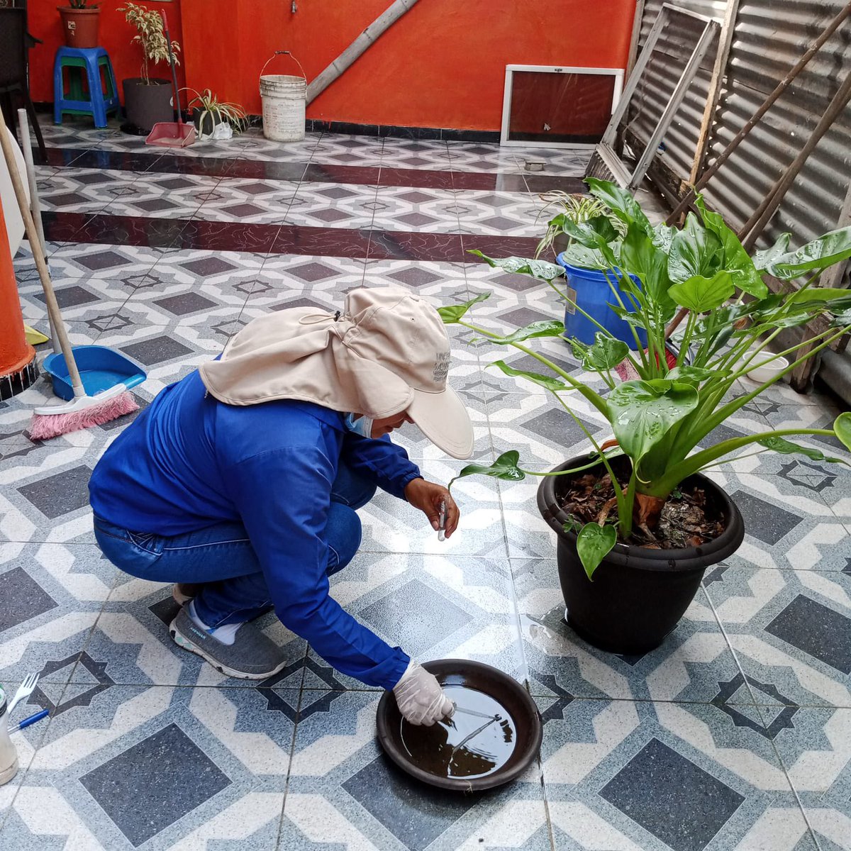 Salud_Guayas's tweet photo. #JuntosPorLaSalud | Personal de #ControlVectorial del #Distrito09D04 🏥 de @Salud_Ec intervienen los sectores de #ElLimonal y #Sauces para evitar casos de dengue, chikunguya y zika. https://t.co/6cCKwWsXew