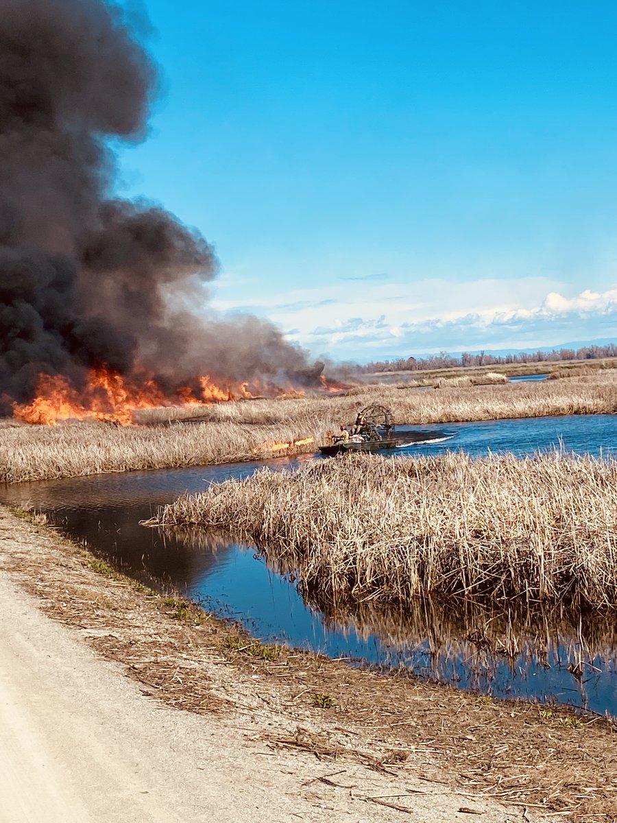 #GoodFire season continues on @USFWSRefuges in #California. Last week #firefighters implemented a 150 acre #RxFire on #DelevanNationalWildlifeRefuge. The #RxBurn opened habitat for waterfowl & will allow access for a future habitat improvement project. 📸 Frank Alves/ USFWS