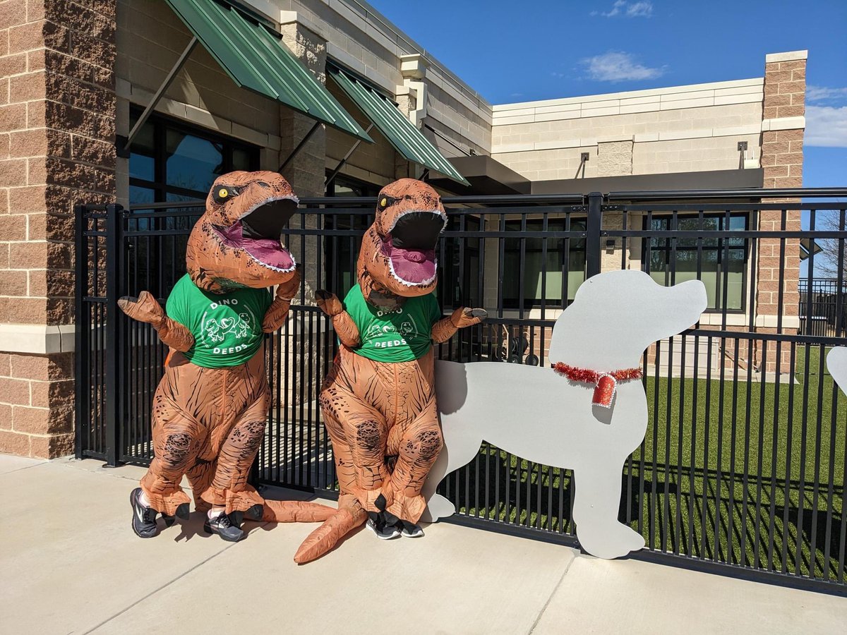 Dino Deeds tweet media