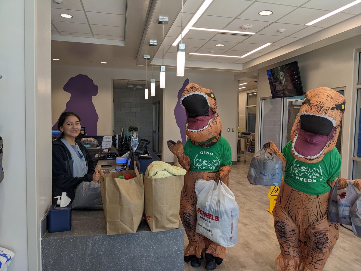 Dino Deeds tweet media