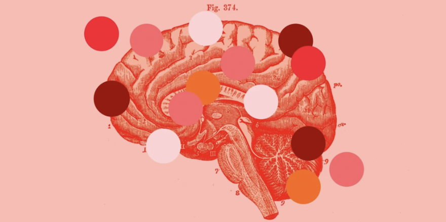 theresaneil's tweet image. Adults, and especially women, are seeking the ADHD diagnoses that were missed when they were children @NBCNews #femtechux
femtechux.com/femtechnews/ad…