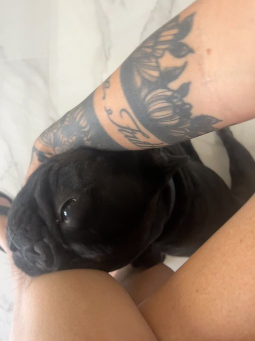 This kid loves me SO MUCH. He&rsquo;s never far. Alway staring at me or touching me. He&rsquo;s a special boy.🖤 #SirHenry<a href="/tag/frenchbulldog"class="tags"><span>#frenchbulldog</span></a><a href="/tag/mommasboy"class="tags"><span>#mommasboy</span></a><a href="/tag/sirhenry"class="tags"><span>#sirhenry</span></a><a href="/tag/connecte"class="tags"><span>#connecte</span></a>