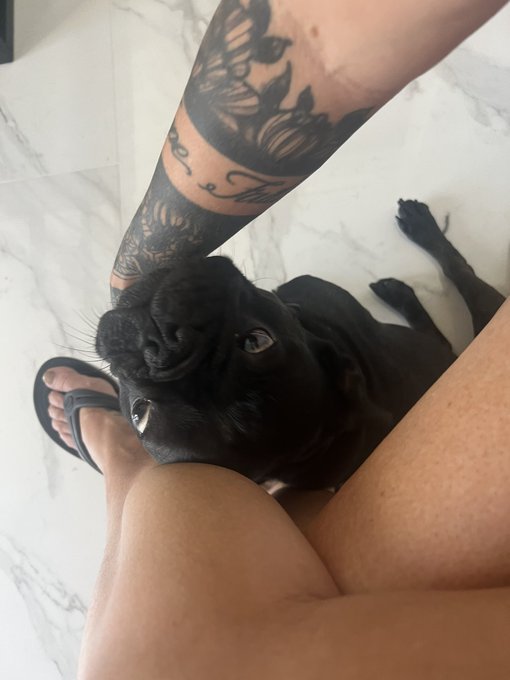 This kid loves me SO MUCH. He&rsquo;s never far. Alway staring at me or touching me. He&rsquo;s a special boy.🖤 #SirHenry<a href="/tag/frenchbulldog"class="tags"><span>#frenchbulldog</span></a><a href="/tag/mommasboy"class="tags"><span>#mommasboy</span></a><a href="/tag/sirhenry"class="tags"><span>#sirhenry</span></a><a href="/tag/connecte"class="tags"><span>#connecte</span></a>
