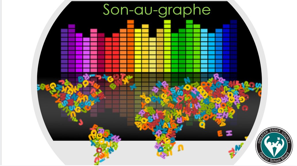 bonjourSCDSB tweet media