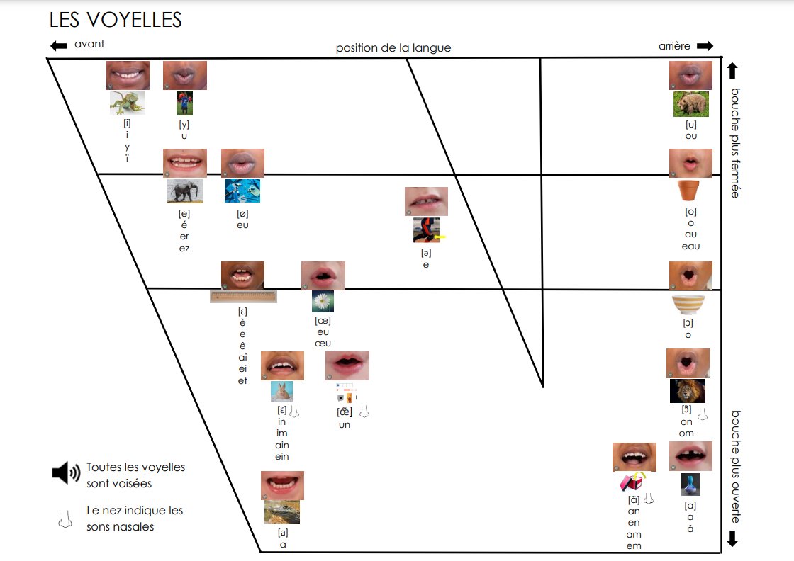 bonjourSCDSB tweet media