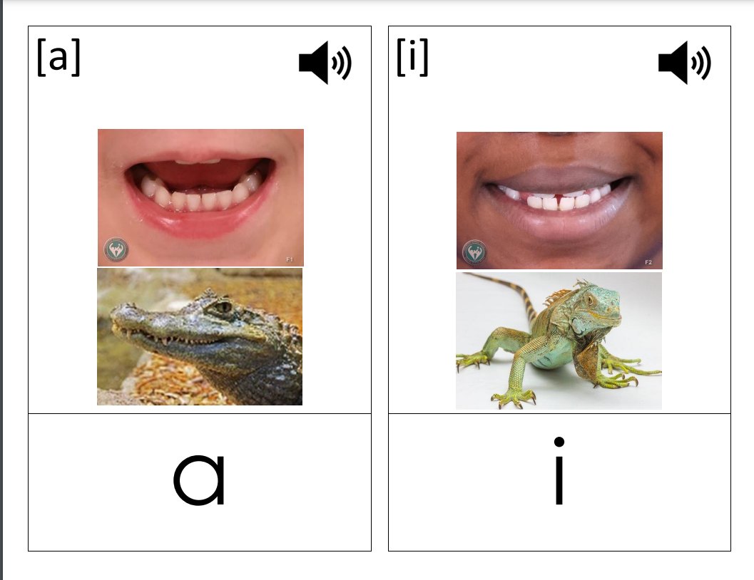 bonjourSCDSB tweet media