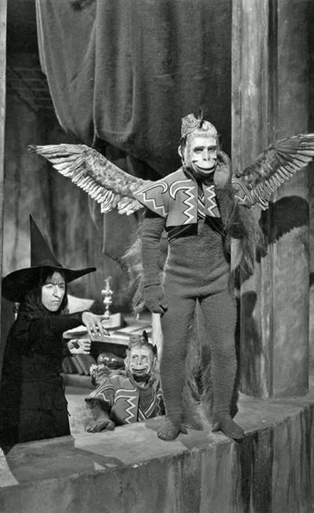 Earstohearyou's tweet image. FLYING MONKEY is a term in psychology - Seen in The Wizard of Oz and the flying monkey's who served the Wicked Witch. 
Used to describe the people who unwittingly become flying monkey's to abusers. Spreaders of hate. They are too naive to realise that they are being manipulated.