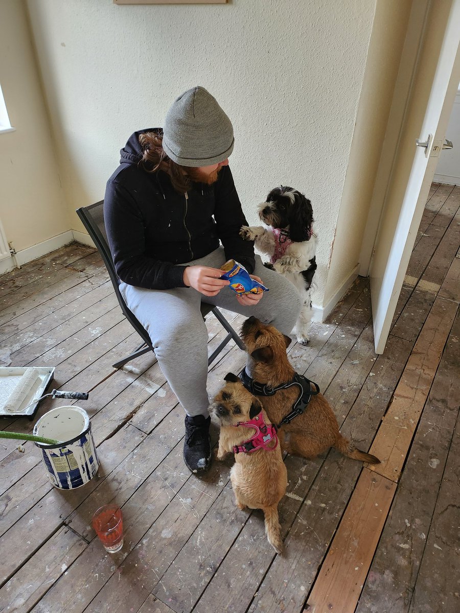 lucy_nield1's tweet image. Slowly. It is happening.

#firsthouse #newhome