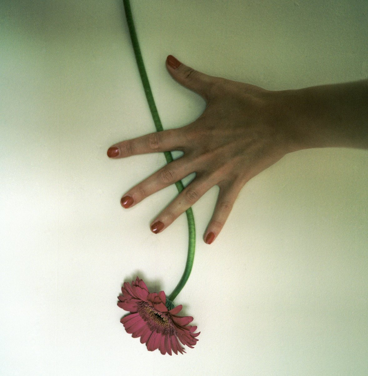 KatiegONeill's tweet image. My album 'Into the Beyond' is out tomorrow 28.02.2023. I can't believe I'm finally sharing this with the world. I put a tremendous amount of time and work into this, and every inch of my heart and soul. It's time to set it free! Until then!

#NewMusic #NewRelease