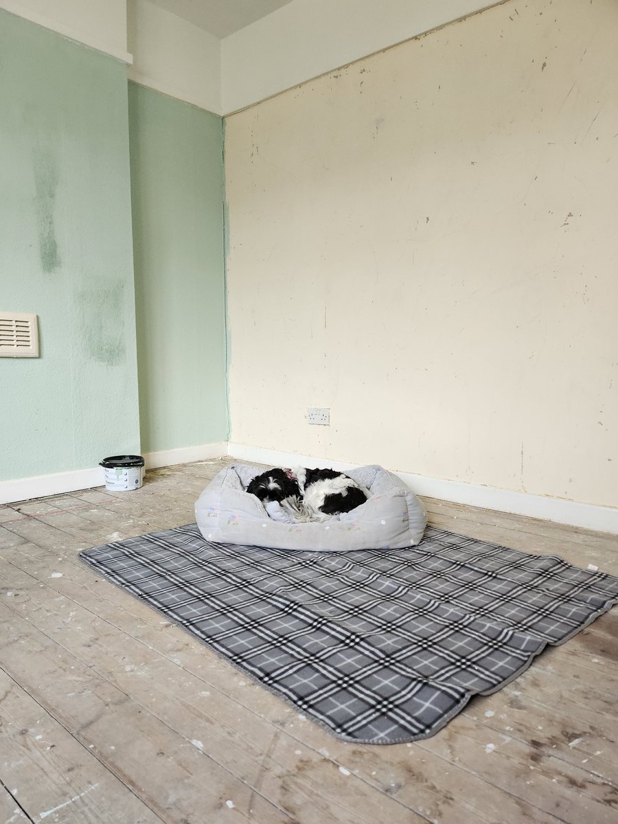 lucy_nield1's tweet image. Slowly. It is happening.

#firsthouse #newhome