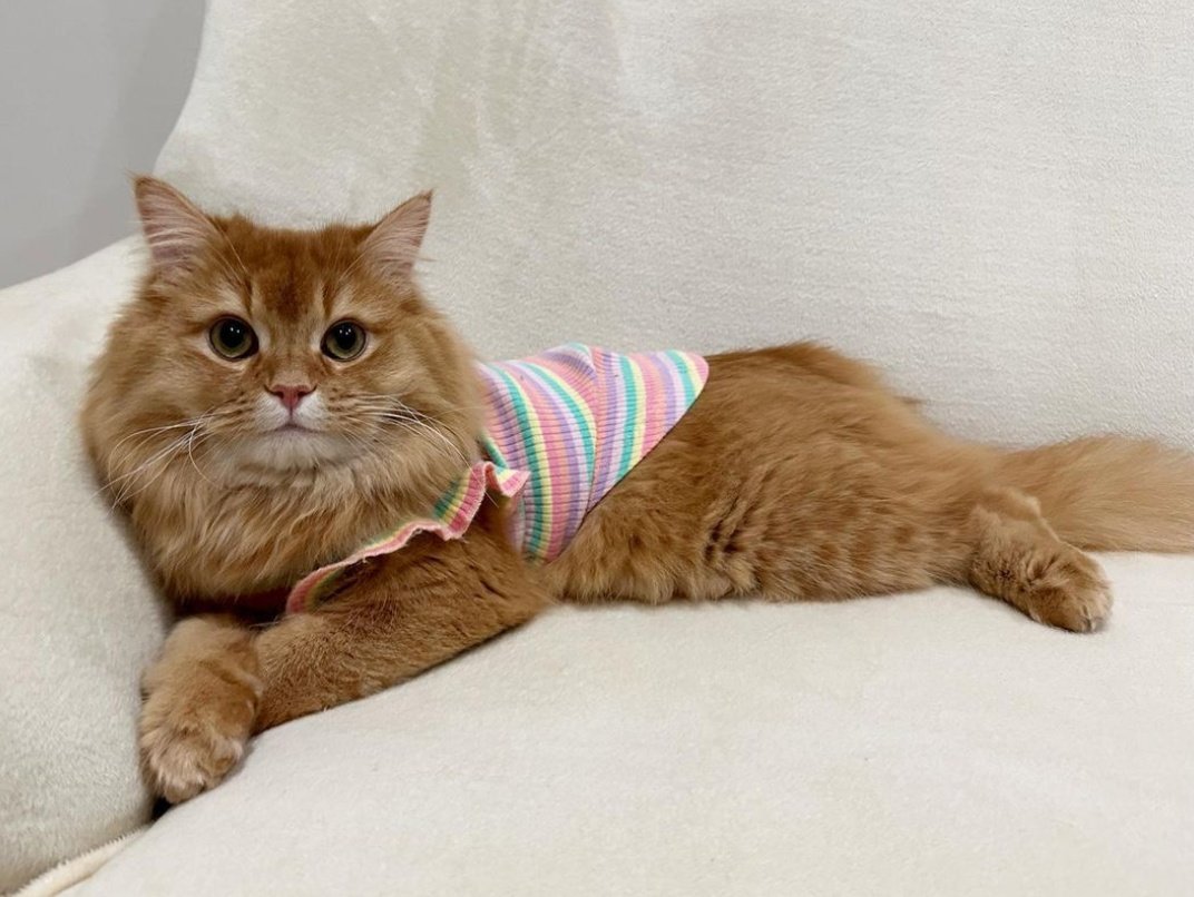 foto Ulises para los fans.