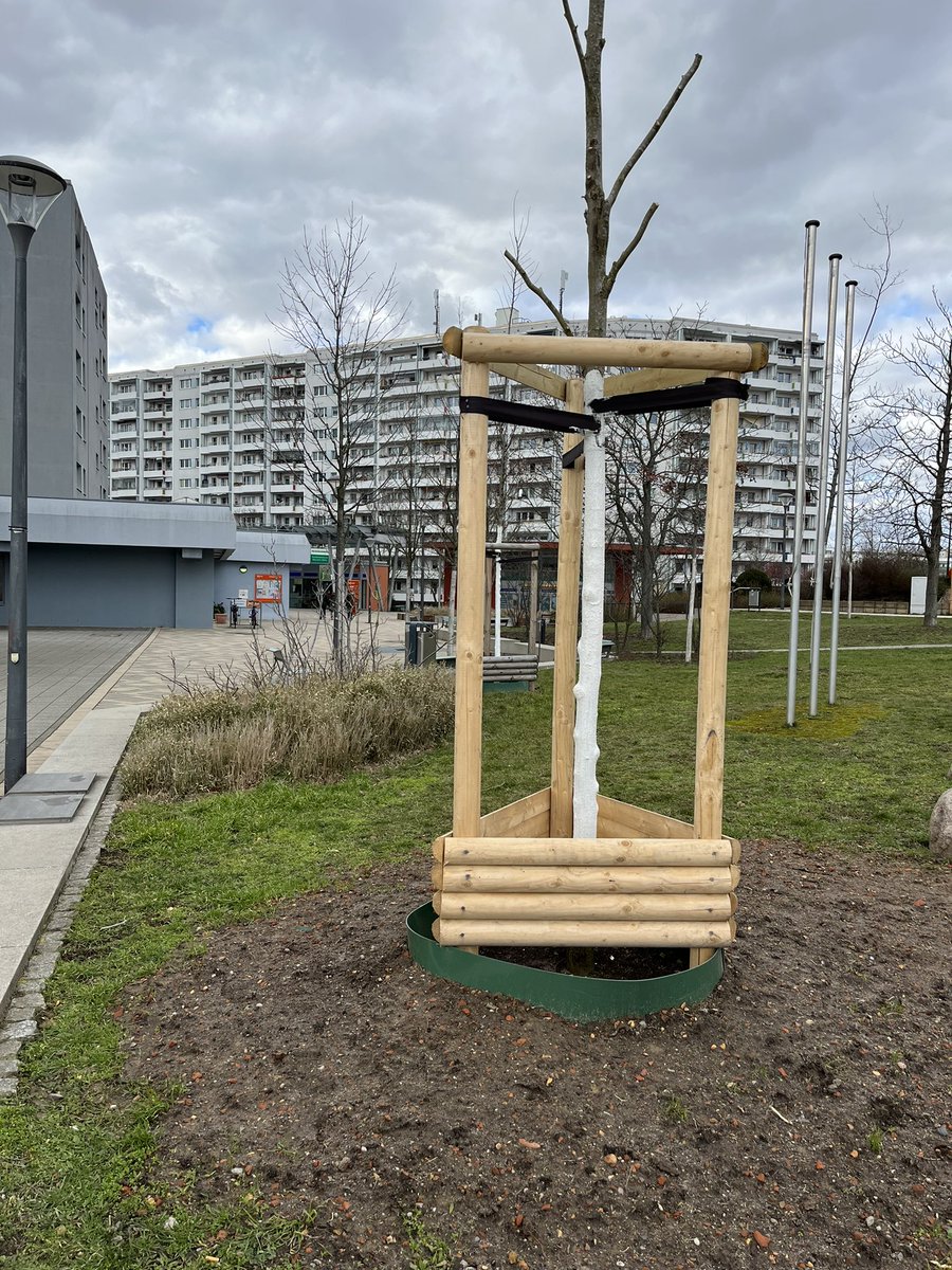 julia_witt's tweet photo. Aktion Nachbarschaft: heute vor Ort im StZ Marzahn, #machbar, dazu kurzer Blick in die #unbezahlbar, Plaudern zur Gesellschaft, Halt, Dankbarkeit, Patenschaftsbäumen. #mahe https://t.co/0GkyjzPJkY