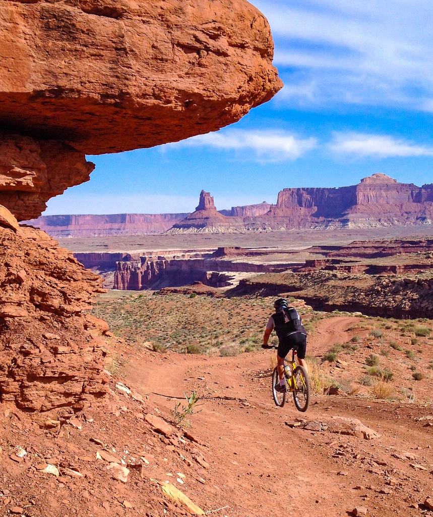 EscapeBikeTours's tweet image. Orange you glad nature has so much to offer? 🍊🌅 From vibrant sunsets to stunning desert flowers, the color orange can be found all around us in the great outdoors. 🌎🙏 #ColorOfTheWeek #Orange