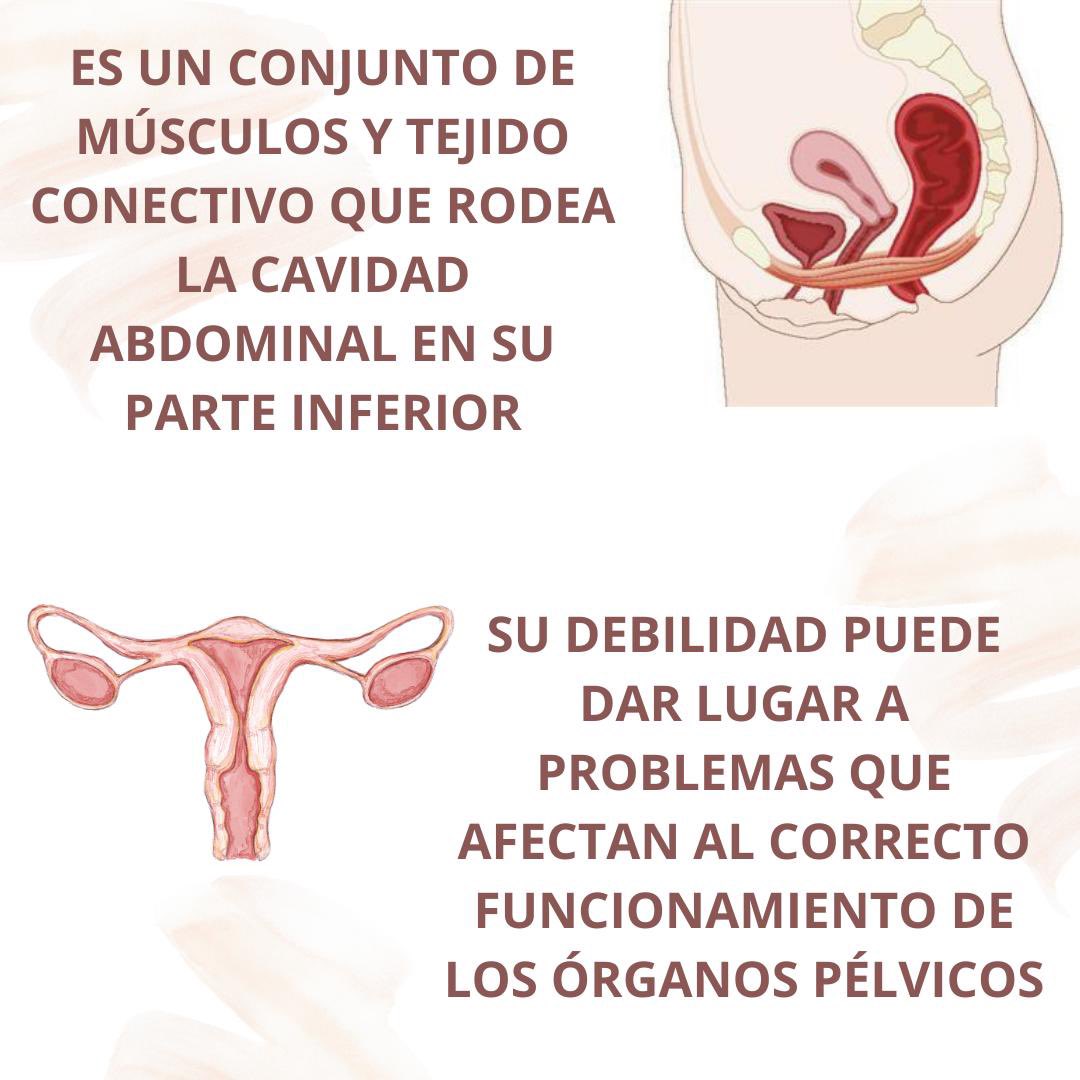 firesalut's tweet photo. ¿Qué es el suelo pélvico?
 
#FIRESALUT #fisioterapia #salud #fisioterapiasuelopélvico #cuidados #suelopélvico #equipoFiRESALUT #somosFIRESALUT

➕ℹ️
🔗https://t.co/KoYJNstSea
📲601 42 28 15
📩 info@firesalut.com https://t.co/9IatbbEMpb