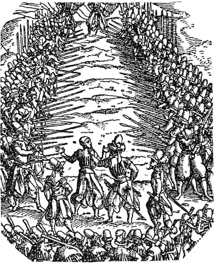 Aristocratic Fury tweet media