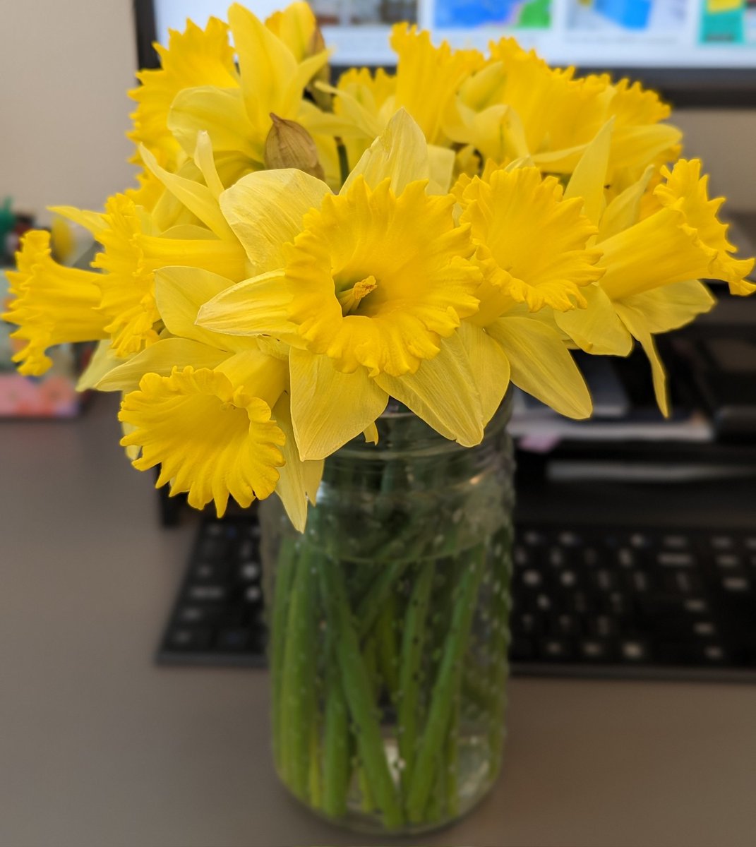 A hint of spring on my desk this Monday morning