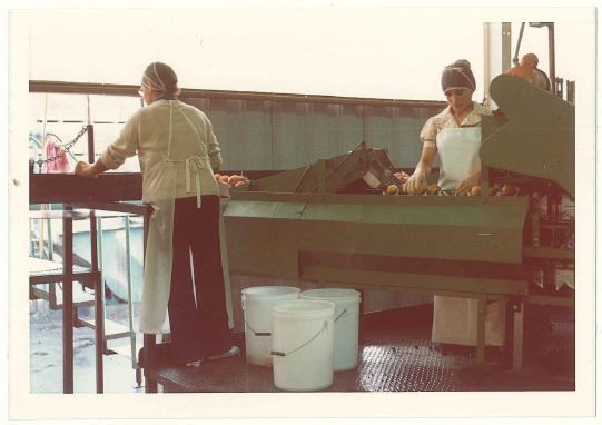 #60YearsAndStillGrowing