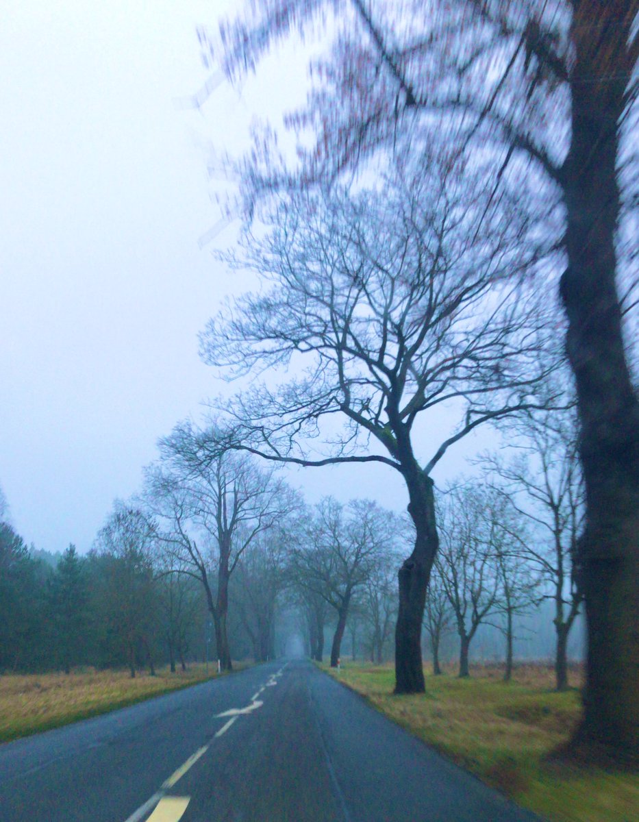 Heniu (@heniu777) on Twitter photo 