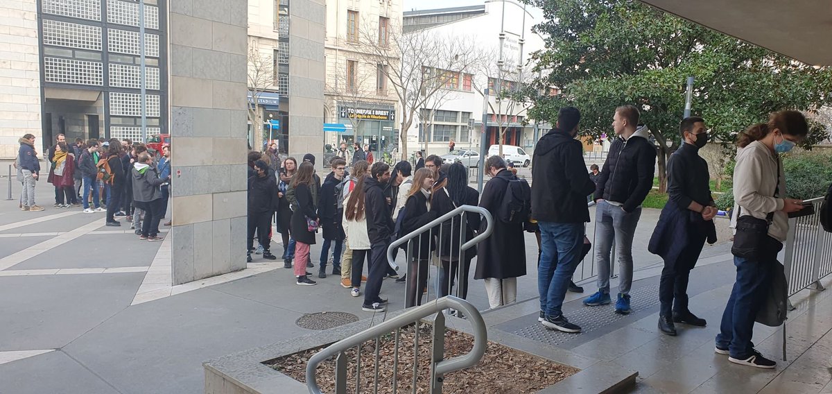 CatOnTree Studio - Twistales tweet media