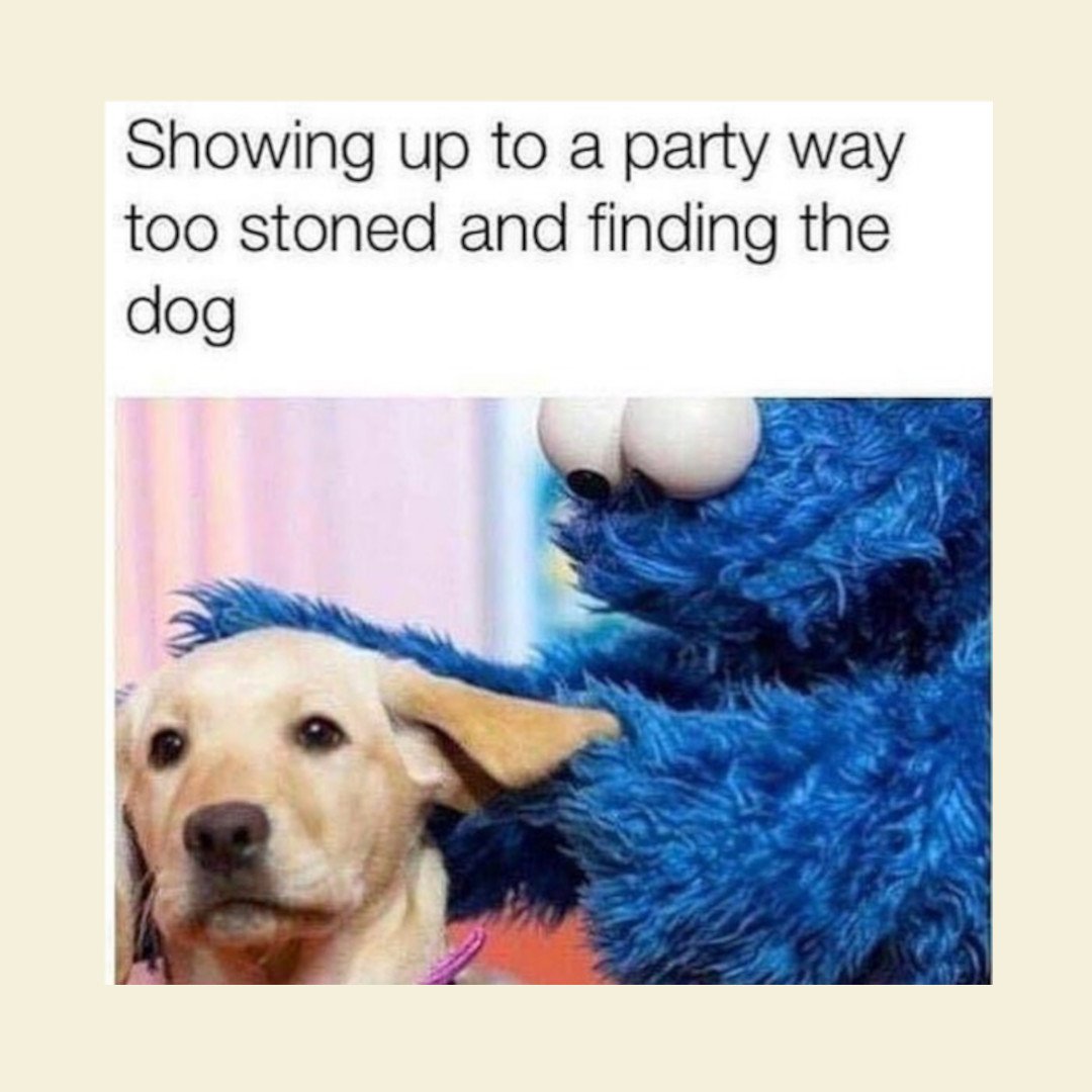 StayWokeNM's tweet image. These memes reveal only a few of the many post sesh moods that can emerge 😍 👹 🥴. Which one are you and which is your smoke buddy? Tag them! 😎 

#mememonday #localsmokeshop #albuquerque #abq #highandhappy #staywokesmokeshop