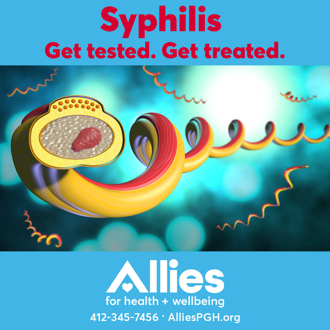 Did you know that there are multiple stages of syphilis, each with different symptoms? Syphilis can cause serious damage to your body if untreated. Get tested at Allies! Visit AlliesPGH.org or call 412-345-7456 to make an appointment.