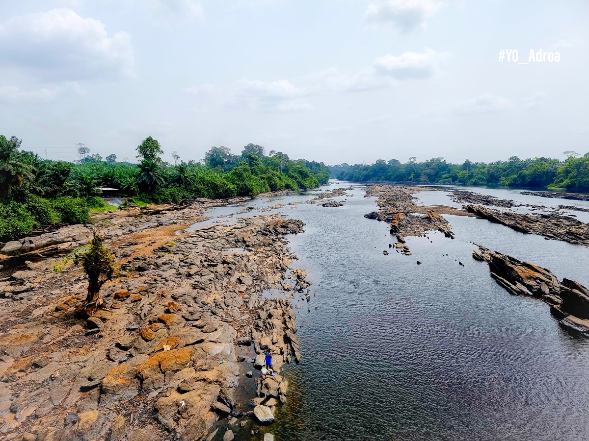 Y0_Adroa's tweet image. Le fleuve Nyong qui tarit inexorablement, en cette saison sèche.

#Apouh
#Edea_Kribi
#Nyong