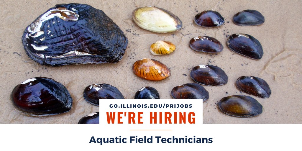 Illinois Natural History Survey tweet media