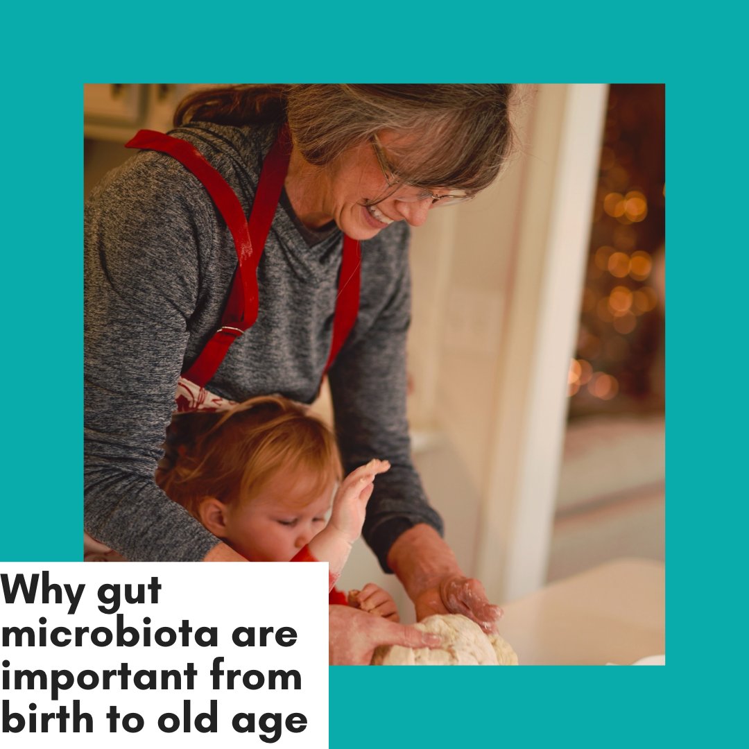 Did you know that gut microbiota are important every stage of your life? In this blog, Carolina Ramos explains what we know about the importance of the gut microbiota at different life stages. 
newbrainnutrition.com/why-gut-microb…
 #microbiota #healthydiet #aging #gutbrainaxis