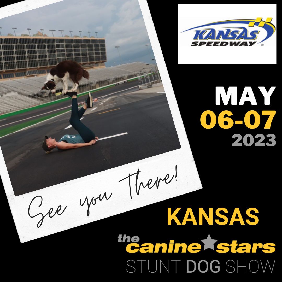CanineStars's tweet photo. 📢 KANSAS!!! We'll performing at KANSAS SPEEDWAY on Sat May 6 to Sun May 7, 2023  in Kansas City, KS! 

https://t.co/dofzvsOvon https://t.co/doiEgmnxdb