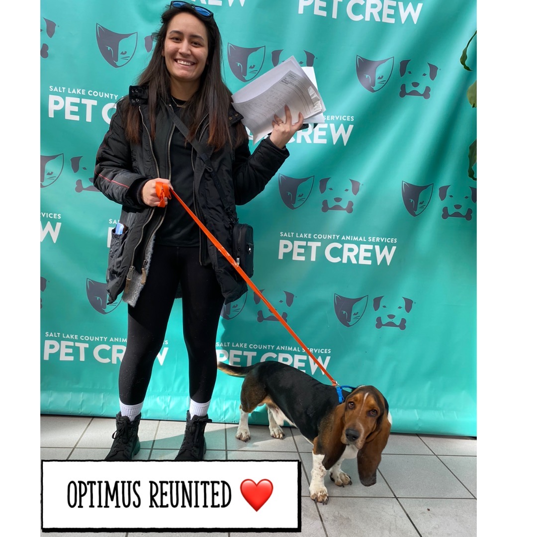 SLCoAnimals's tweet image. Use every tool to help get your pet home! Free #microchips for ALL pets in #slco! Visit @SLCoAnimals to get one. #adoptutahpets #mondaymorning #reunited