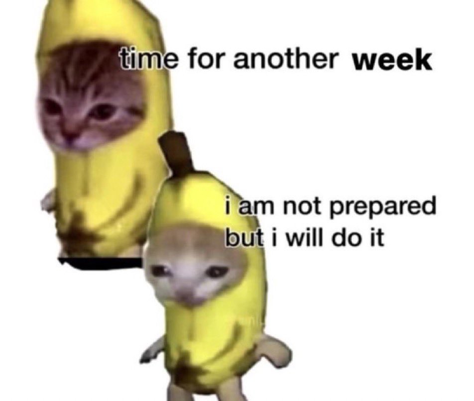 literallymecats's tweet photo. https://t.co/DRvo5lHCoc