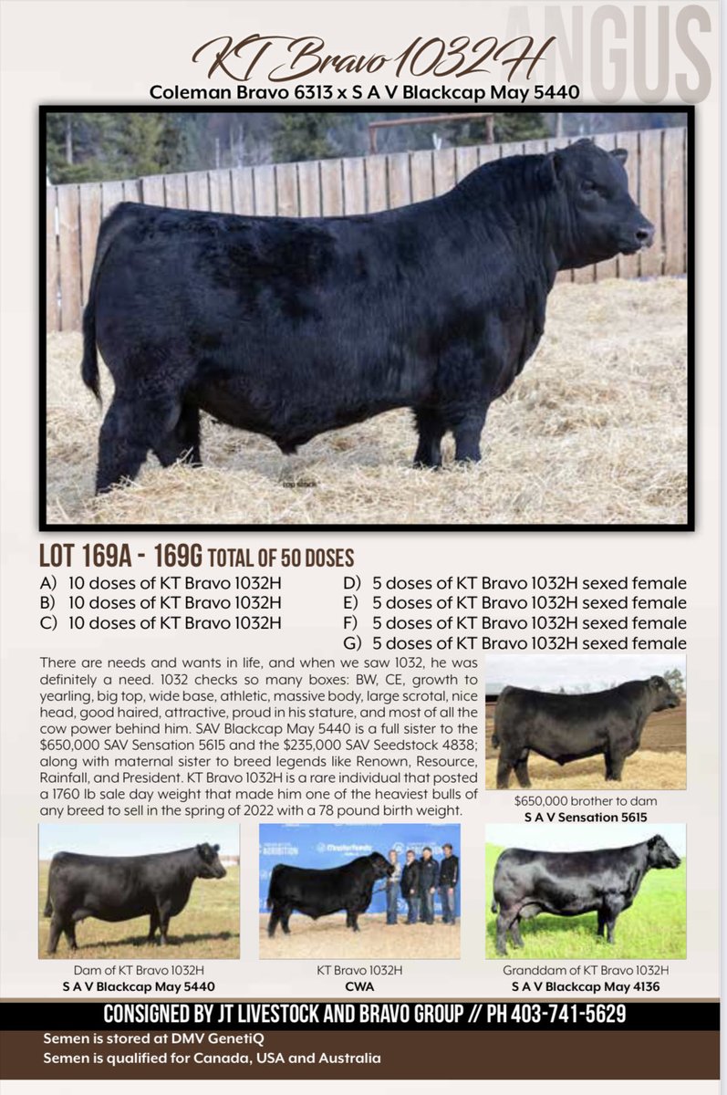 March Madness sale happens this weekend 5 March. His calves are cool. The predictable females he will produce should be awesome. With sexed semen you could make a pen full.