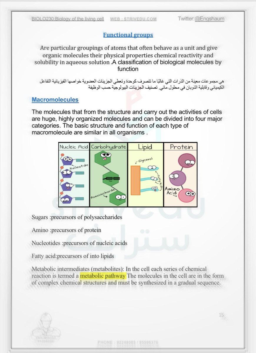 Engbiologic's tweet photo. النوت جاهز الي حاب يطلب دايركت بس حق طلبة الكميكال Bio230 https://t.co/007dgocPlt