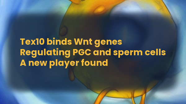 RandompileVideo's tweet photo. Preprint on #bioRxiv: https://t.co/R8lBm7pseM
#haiku #gpt3 #stablediffusion #tex10 #wnt https://t.co/v3Pg8OWVCS
