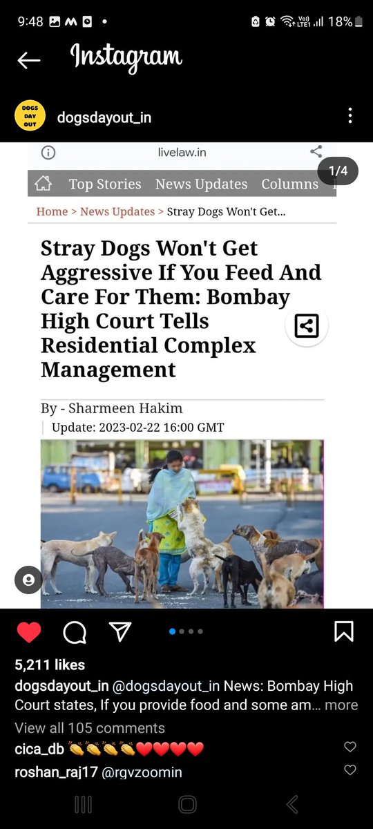 _Rashmi_N_'s tweet photo. @ashokeathiraju This is pretty much what i want to say to every bugger here having a problem with street dogs . You are not better than dogs, get off your human entitlement horse. Earth belongs to every animal #earthForAllAnimals https://t.co/WuyH42GOH5