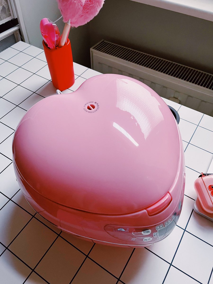 so_lazo's tweet photo. just got my new rice cooker and it’s so cute I’m gonna cry😭💖 https://t.co/2Y2OJjozBq