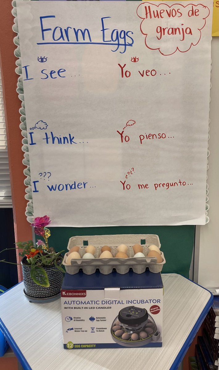 EGGciting news from our Kinders. <a href="/HCISDMultiLang/">Norma G. Garcia</a> <a href="/HarlingenCISD/">HCISD</a> <a href="/HoustonHCISD/">Sam Houston Elem.</a> <a href="/ibpyp/">IB PYP</a> <a href="/iborganization/">International Baccalaureate</a>