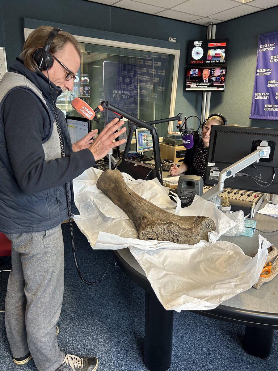 It’s not every day you have a 40 million year old woolly mammoth bone sat on your desk!! @GuernseyMuseums
