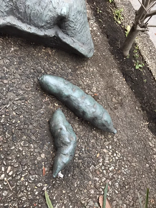 馬場にババ落ちてたわ 