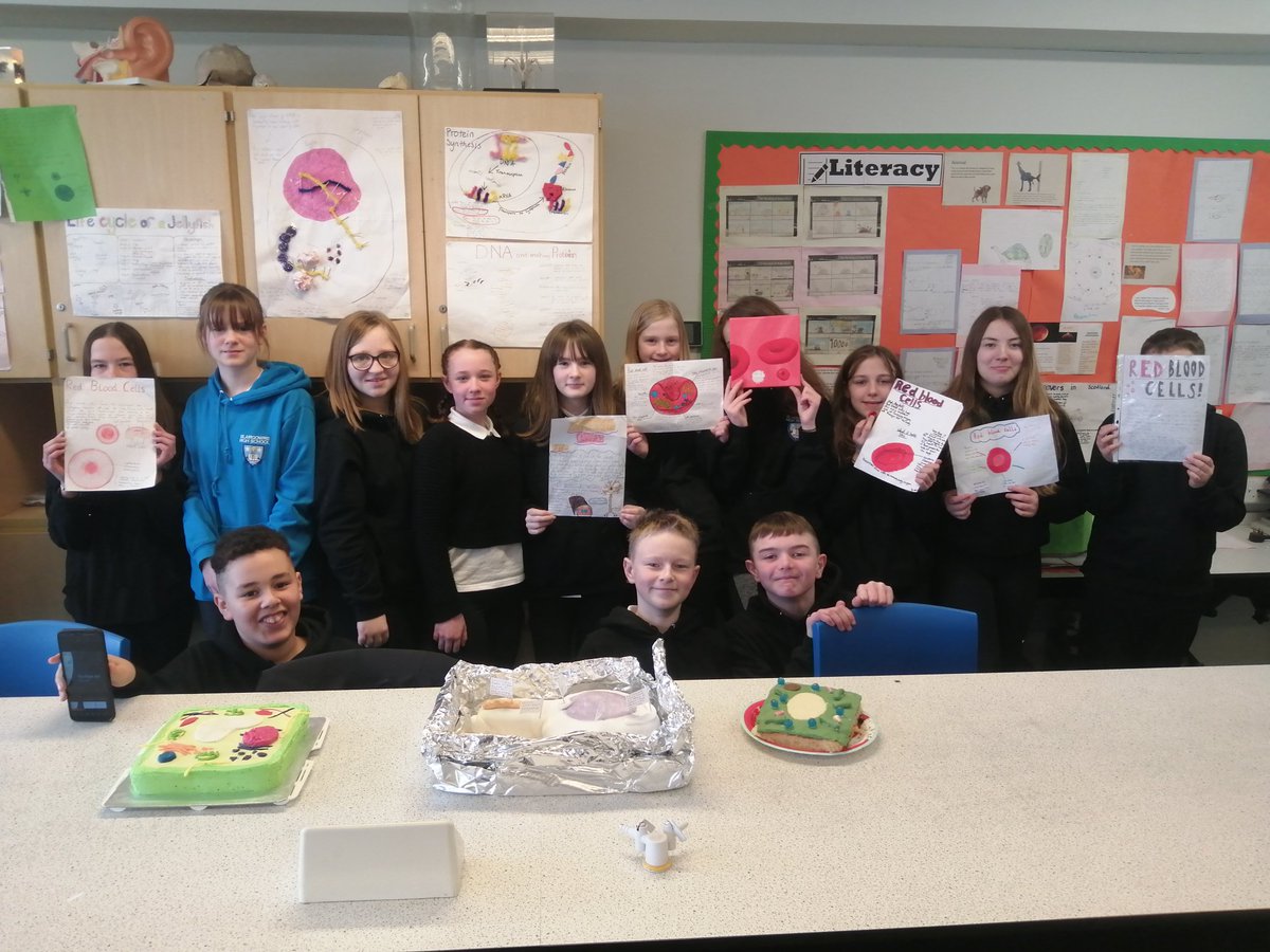Great effort from S1 today for cell projects. Cakes, clay, posters, paintings and models all featured. <a href="/BlairgowrieART/">Blairgowrie HS Art</a> would be proud