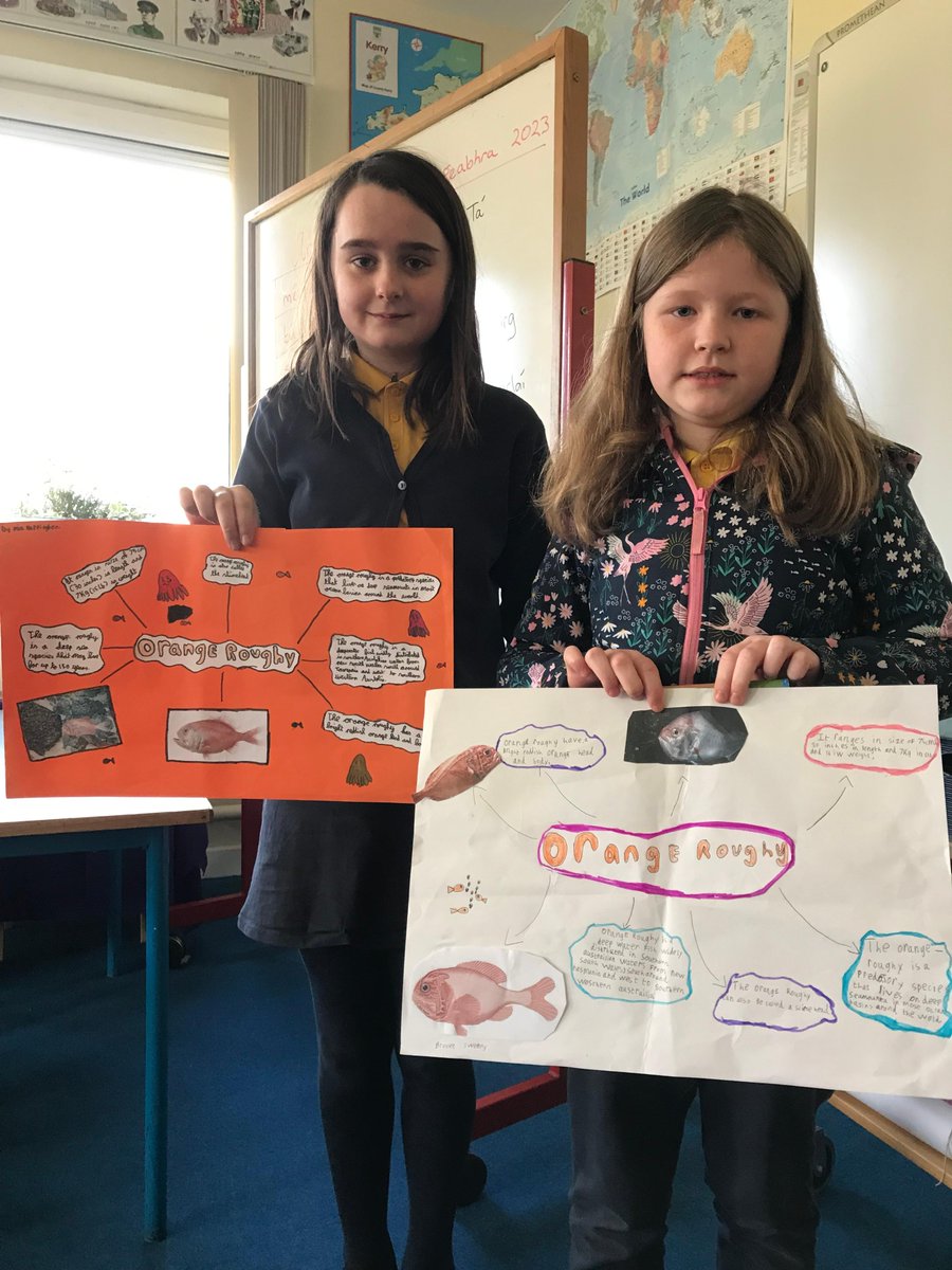 sea_synergy's tweet photo. Great day in Tulloha National School with the @explorersedu programme to see the amazing projects by the students! It was great to see them again and finish the day with some experiments and games about the deep sea 🐟
#explorerseducationprogramme #marineinstitute #oceanliteracy https://t.co/xSk4LYhuGB
