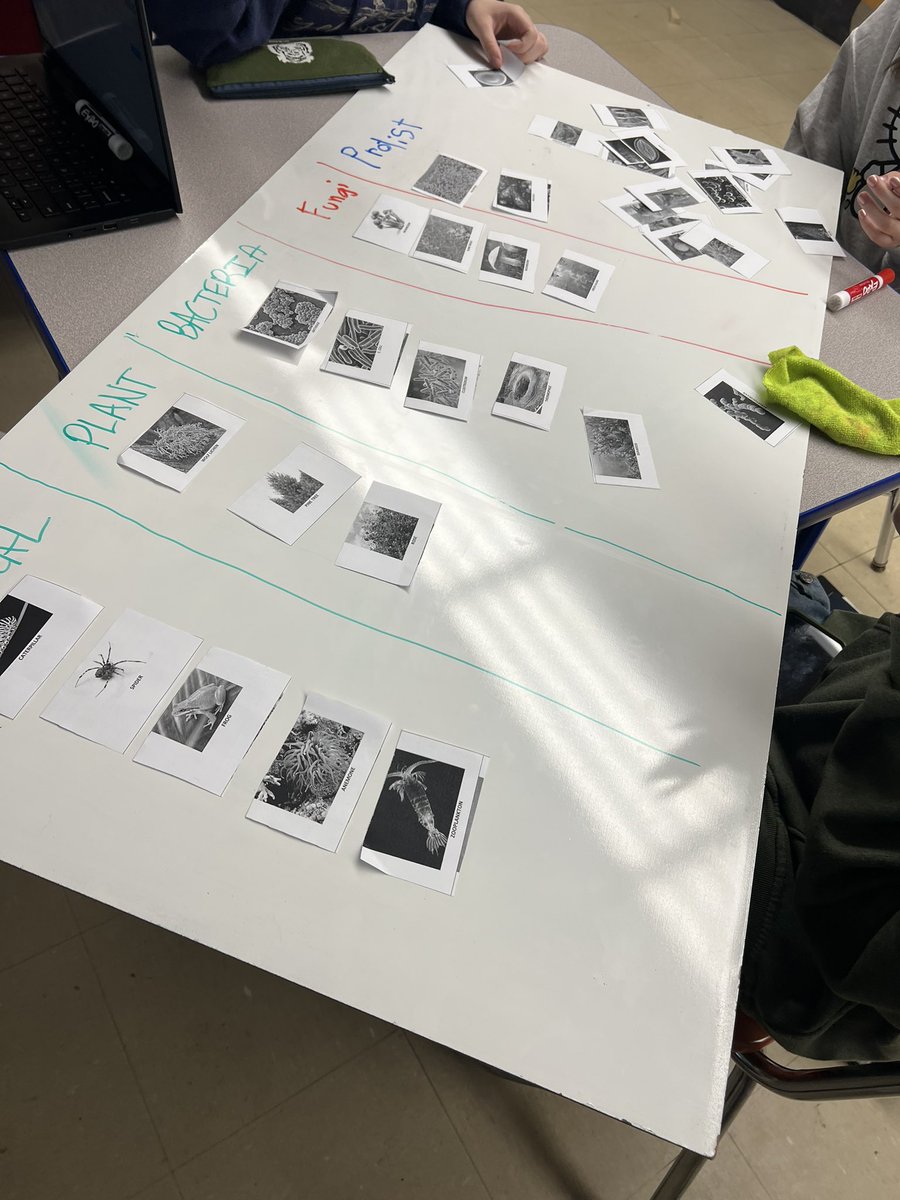 ghs_whitecar's tweet photo. Learning about how living things are classified into groups based on their similarities. #collsedu https://t.co/5bOMwxAjgu