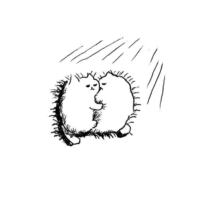 ねこ 