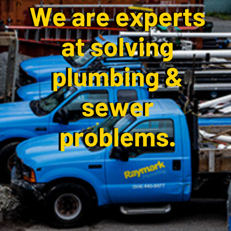 RaymarkPlumbing's tweet photo. 206-430-1954  https://t.co/BiN2hE4MaP
#raymark #neighborcertified https://t.co/lLmYWxCNZo
