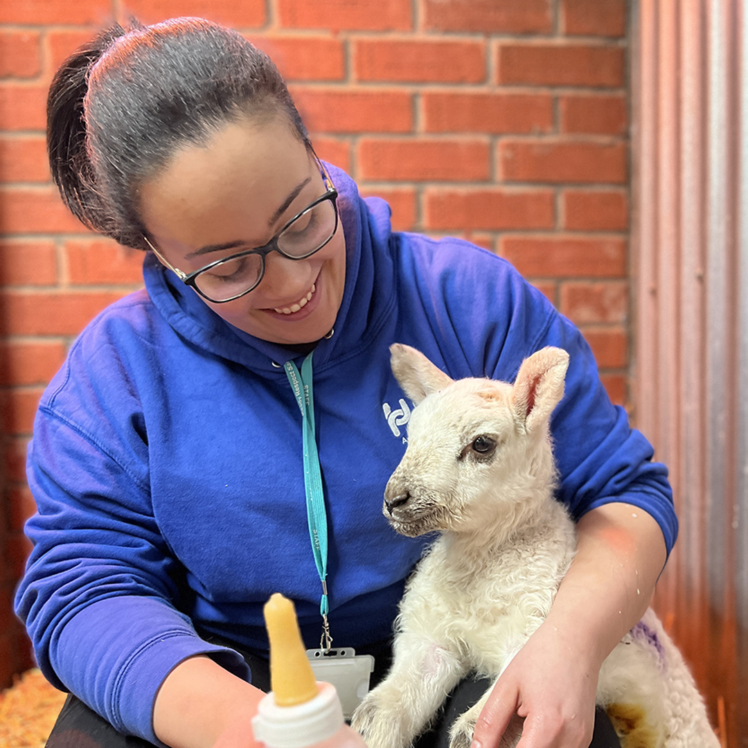 Halesowen College on Twitter "We have a couple of new additions to our