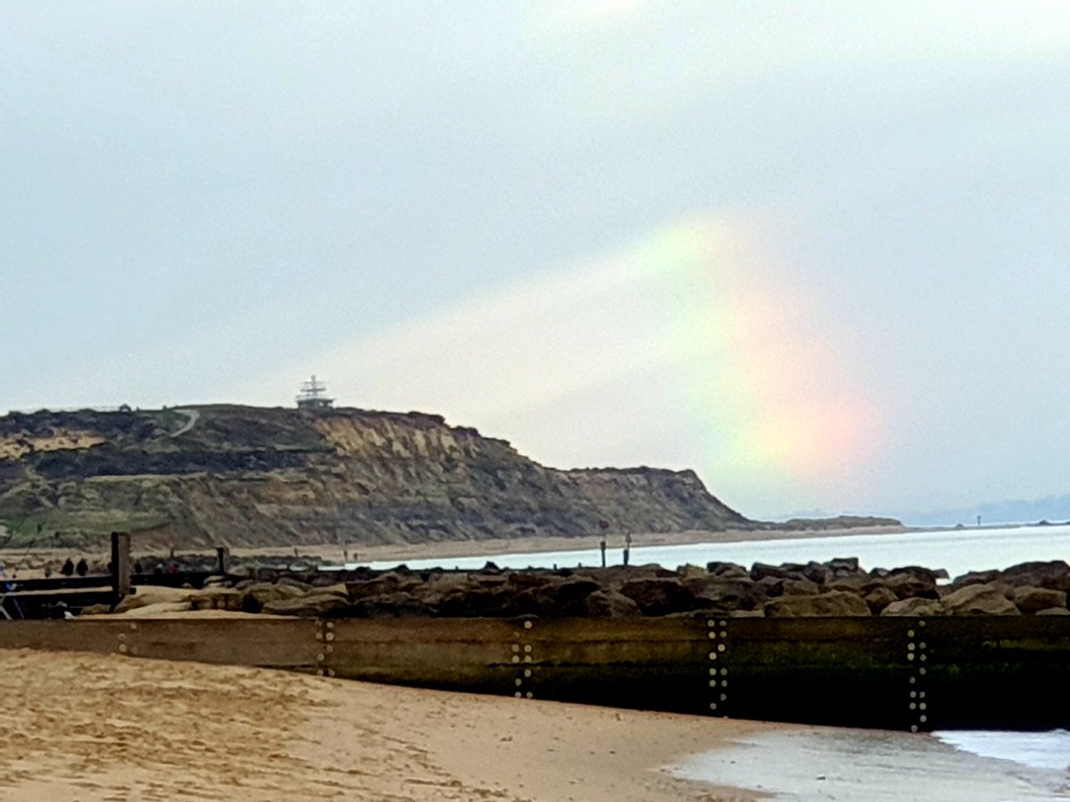 mark holloway🐞🦗🐝🦠🦊🕸🕷🐛🦉🌿🔭👀 tweet media