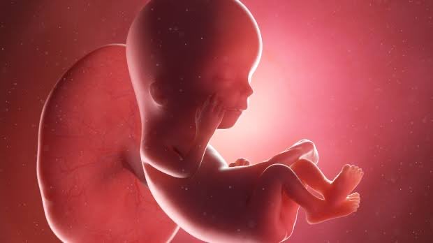 padrehayen's tweet photo. 1875: Esclavitud: los negros no eran personas. Se les podía vender, comprar, matar. Los abolicionistas no debían imponer criterios a los dueños de esclavos.

1973: Aborto. Los no nacidos no son personas. Se les puede matar. Los pro vida no deben imponer criterios sobre la madre. https://t.co/oPscF9bIsS
